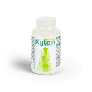 Xylan MGN-3 Arabinoksilan 500mg